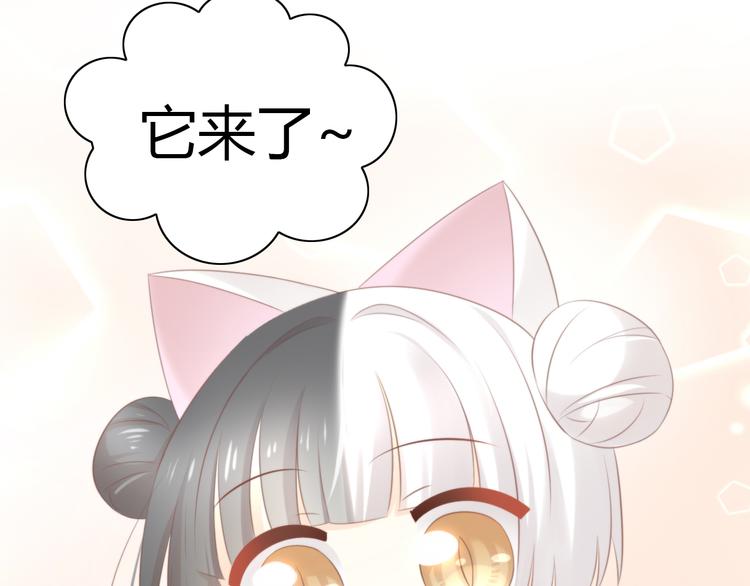 猫爪之下韩漫全集-第85话 新伙伴？！无删减无遮挡章节图片 