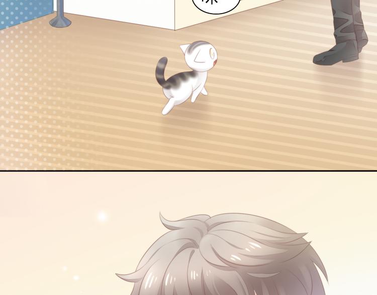 猫爪之下韩漫全集-第85话 新伙伴？！无删减无遮挡章节图片 