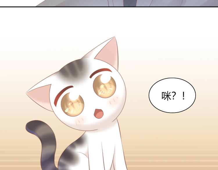 猫爪之下韩漫全集-第85话 新伙伴？！无删减无遮挡章节图片 