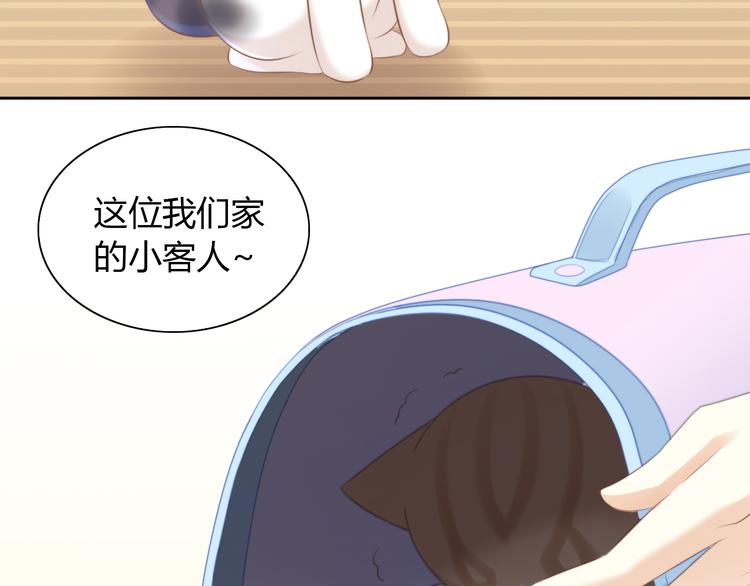 猫爪之下韩漫全集-第85话 新伙伴？！无删减无遮挡章节图片 