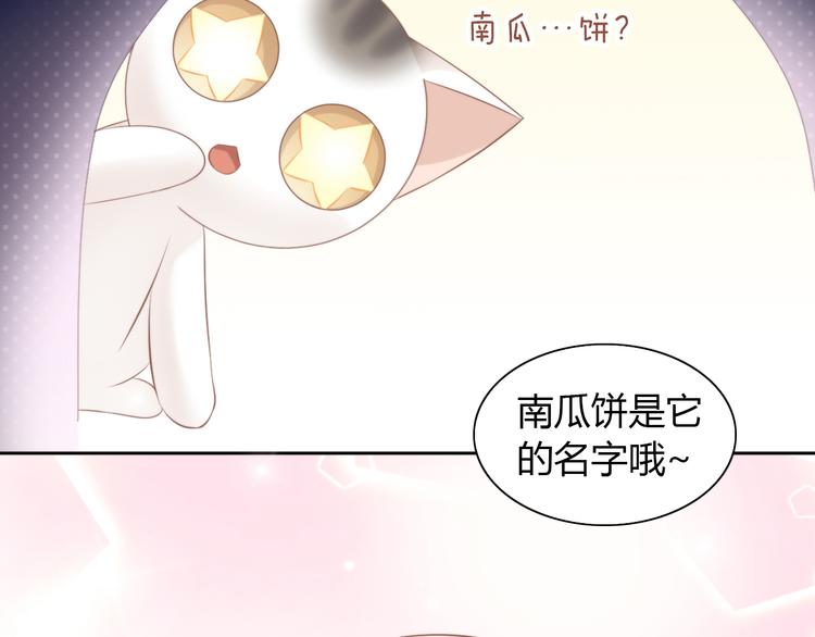 猫爪之下韩漫全集-第85话 新伙伴？！无删减无遮挡章节图片 