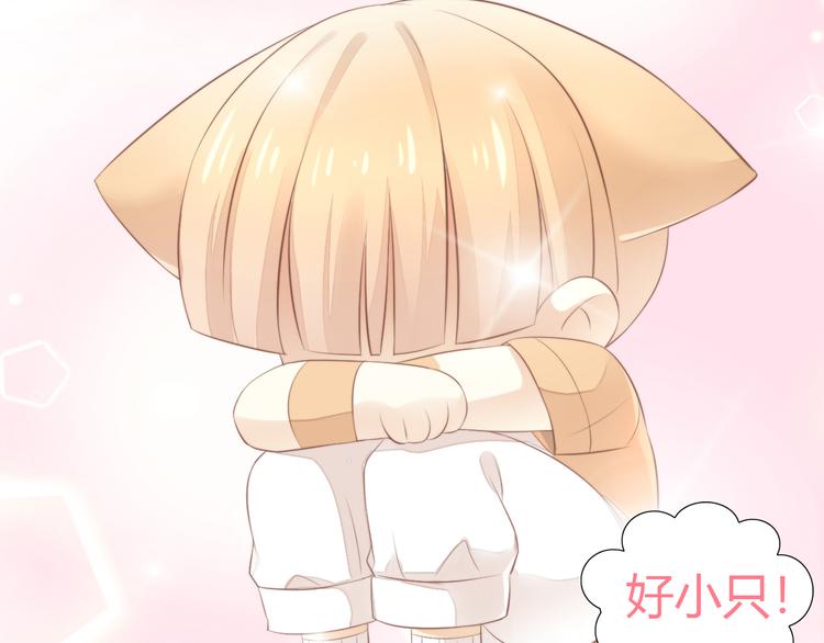 猫爪之下韩漫全集-第85话 新伙伴？！无删减无遮挡章节图片 
