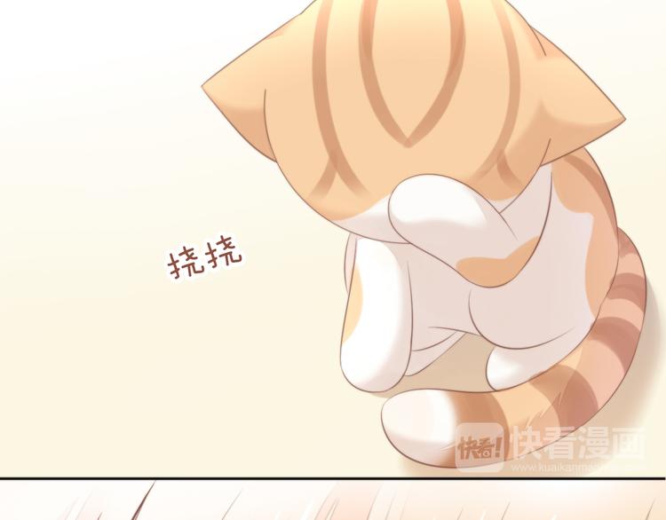 猫爪之下韩漫全集-第85话 新伙伴？！无删减无遮挡章节图片 