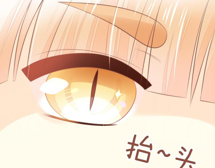 猫爪之下韩漫全集-第85话 新伙伴？！无删减无遮挡章节图片 