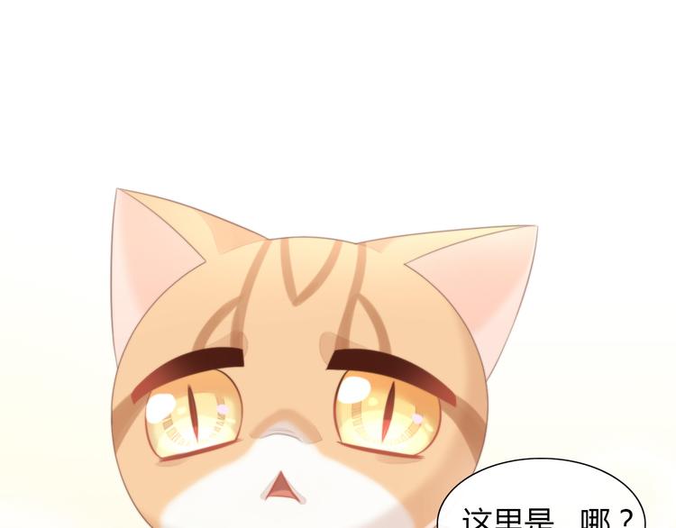 猫爪之下韩漫全集-第85话 新伙伴？！无删减无遮挡章节图片 