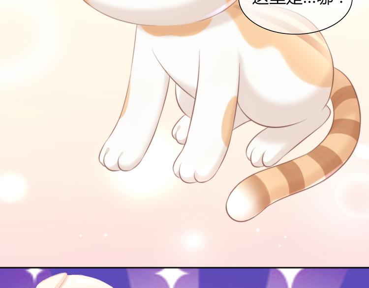 猫爪之下韩漫全集-第85话 新伙伴？！无删减无遮挡章节图片 