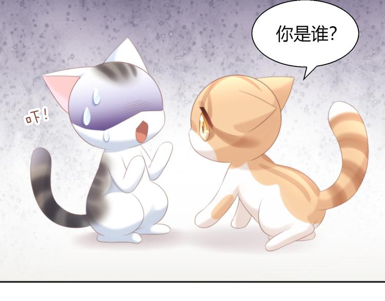 猫爪之下韩漫全集-第85话 新伙伴？！无删减无遮挡章节图片 