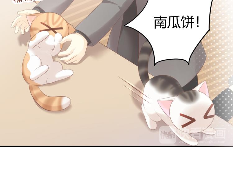 猫爪之下韩漫全集-第85话 新伙伴？！无删减无遮挡章节图片 