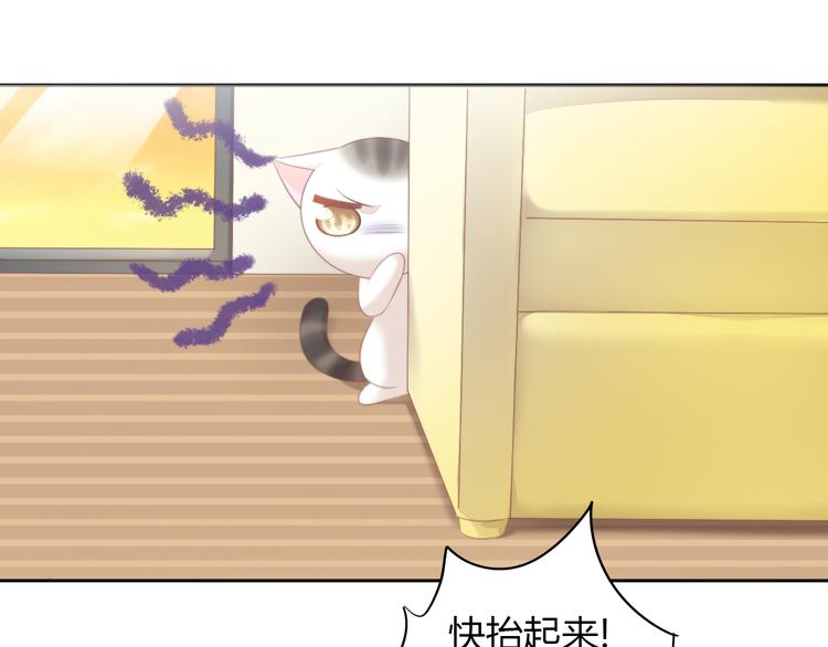 猫爪之下韩漫全集-第85话 新伙伴？！无删减无遮挡章节图片 
