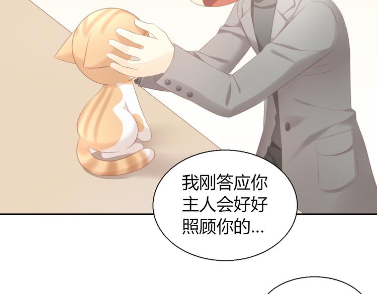 猫爪之下韩漫全集-第85话 新伙伴？！无删减无遮挡章节图片 