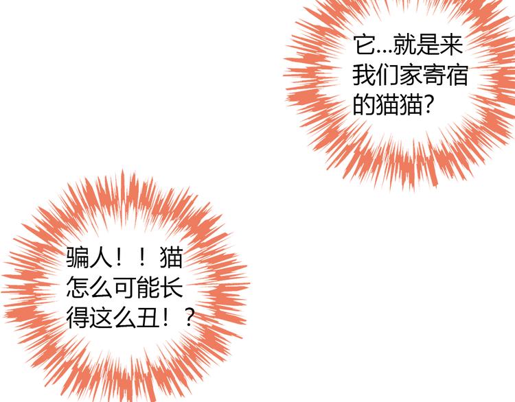 猫爪之下韩漫全集-第85话 新伙伴？！无删减无遮挡章节图片 