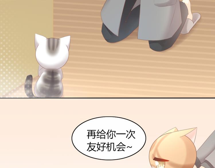 猫爪之下韩漫全集-第85话 新伙伴？！无删减无遮挡章节图片 