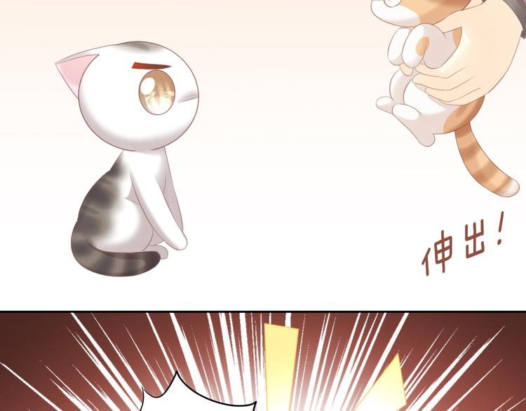 猫爪之下韩漫全集-第85话 新伙伴？！无删减无遮挡章节图片 
