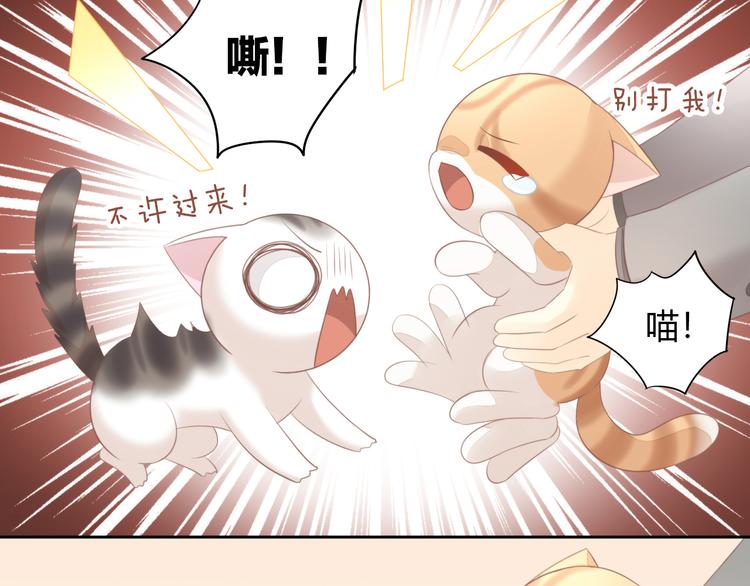 猫爪之下韩漫全集-第85话 新伙伴？！无删减无遮挡章节图片 