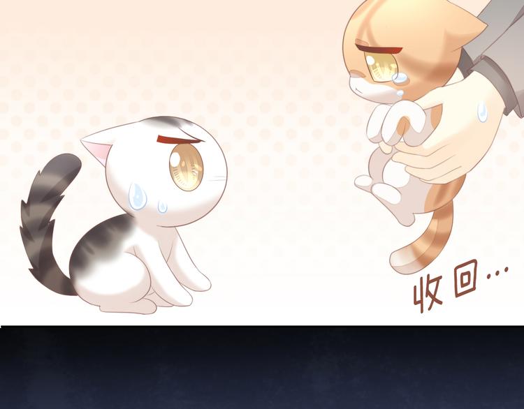 猫爪之下韩漫全集-第85话 新伙伴？！无删减无遮挡章节图片 