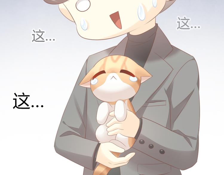 猫爪之下韩漫全集-第85话 新伙伴？！无删减无遮挡章节图片 