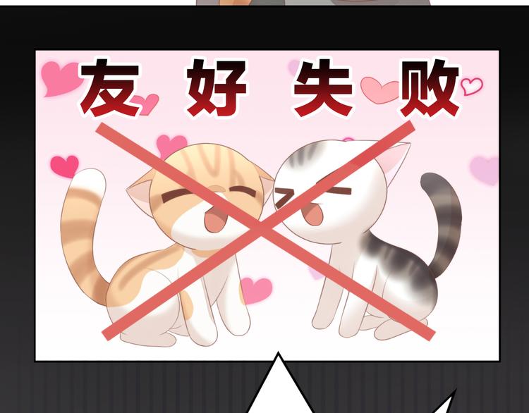 猫爪之下韩漫全集-第85话 新伙伴？！无删减无遮挡章节图片 