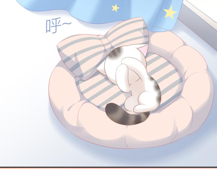 猫爪之下韩漫全集-第85话 新伙伴？！无删减无遮挡章节图片 