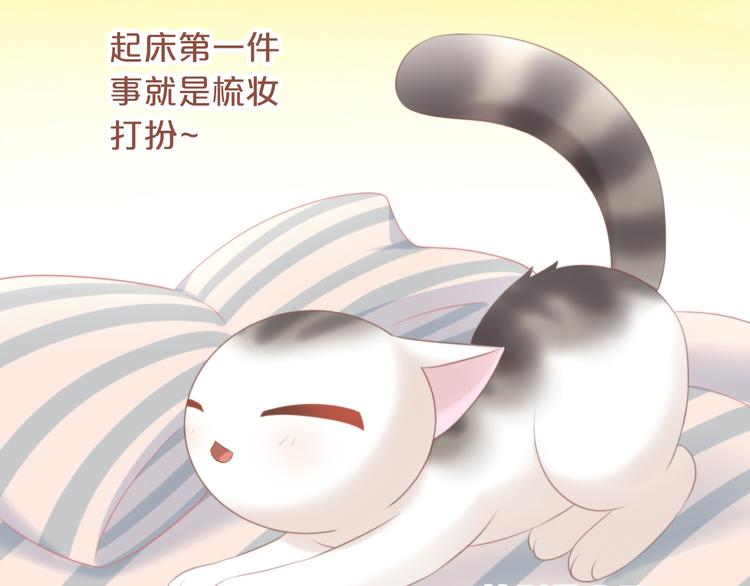 猫爪之下韩漫全集-第85话 新伙伴？！无删减无遮挡章节图片 