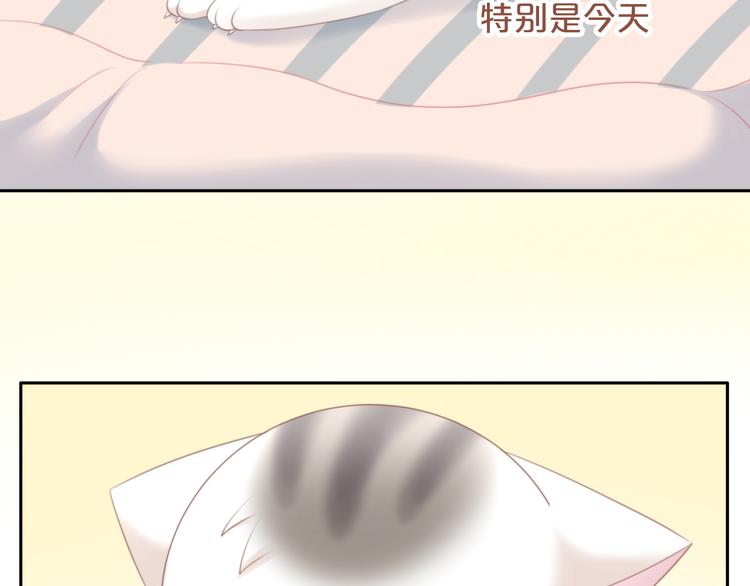 猫爪之下韩漫全集-第85话 新伙伴？！无删减无遮挡章节图片 