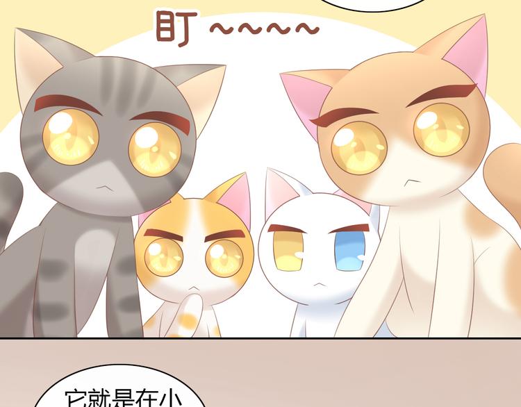 猫爪之下韩漫全集-第86话 友好相处！无删减无遮挡章节图片 