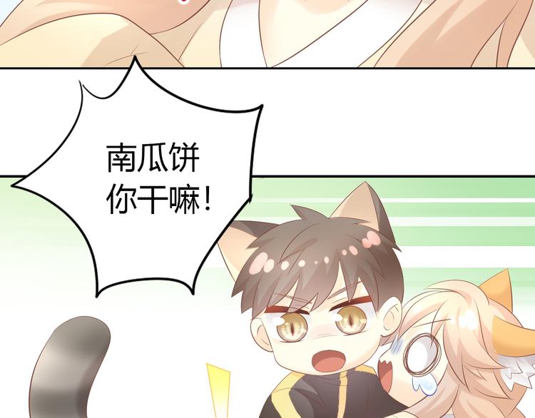猫爪之下韩漫全集-第86话 友好相处！无删减无遮挡章节图片 