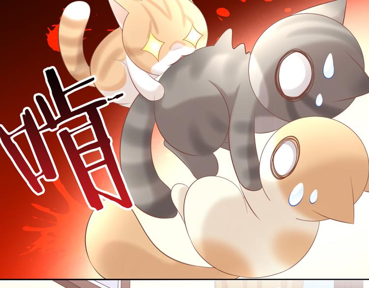 猫爪之下韩漫全集-第86话 友好相处！无删减无遮挡章节图片 