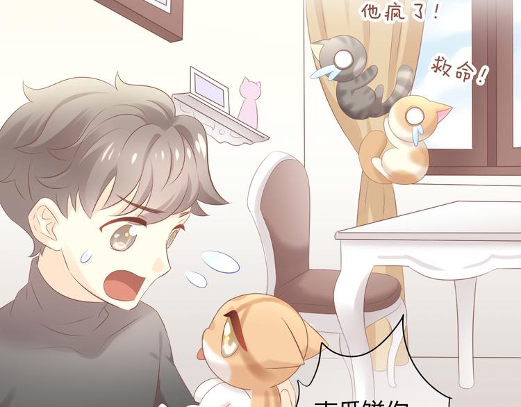 猫爪之下韩漫全集-第86话 友好相处！无删减无遮挡章节图片 