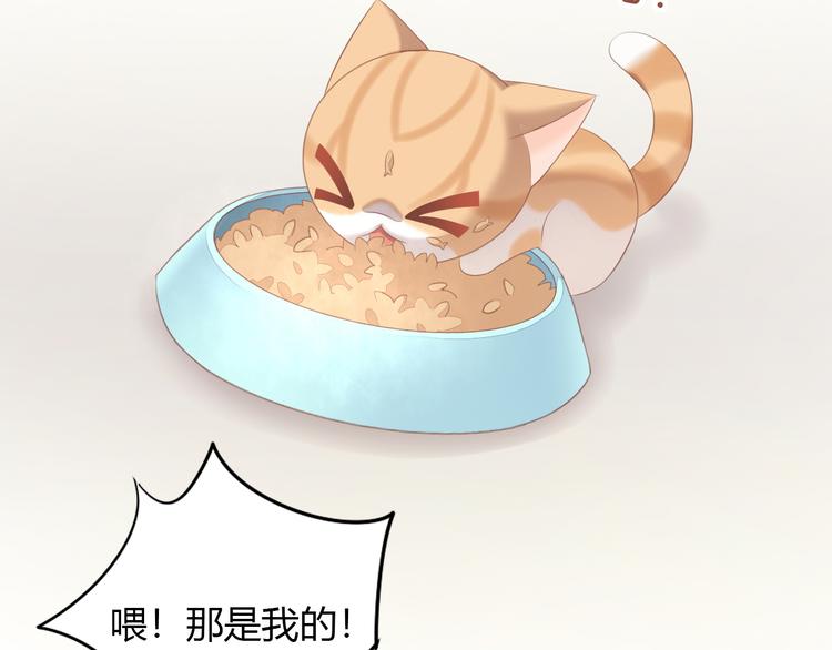 猫爪之下韩漫全集-第86话 友好相处！无删减无遮挡章节图片 