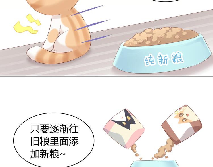 猫爪之下韩漫全集-第86话 友好相处！无删减无遮挡章节图片 