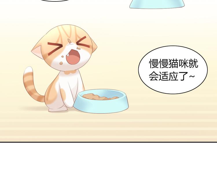 猫爪之下韩漫全集-第86话 友好相处！无删减无遮挡章节图片 