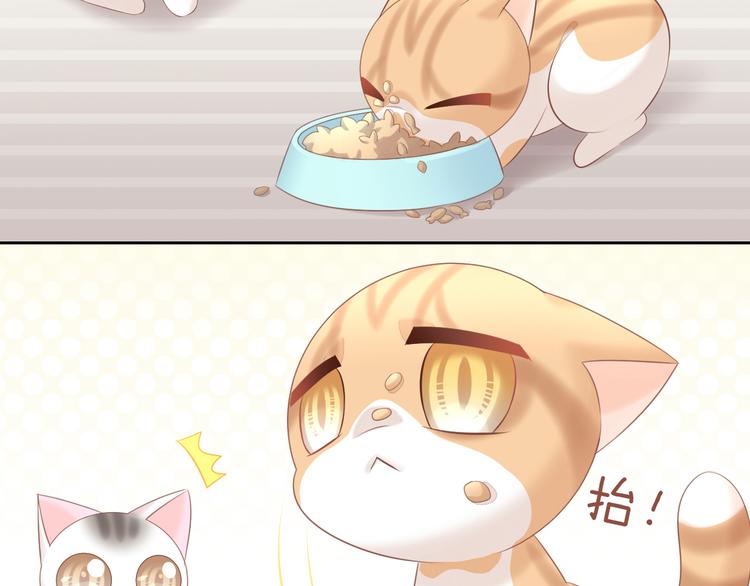 猫爪之下韩漫全集-第86话 友好相处！无删减无遮挡章节图片 