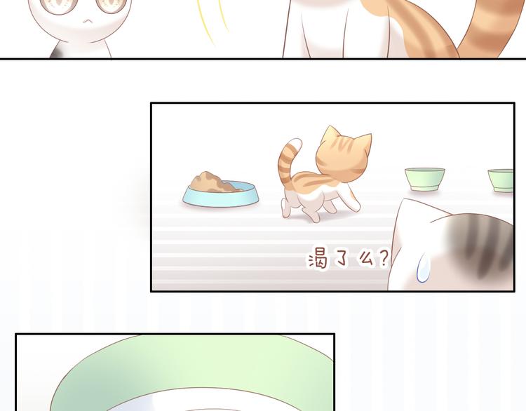 猫爪之下韩漫全集-第86话 友好相处！无删减无遮挡章节图片 