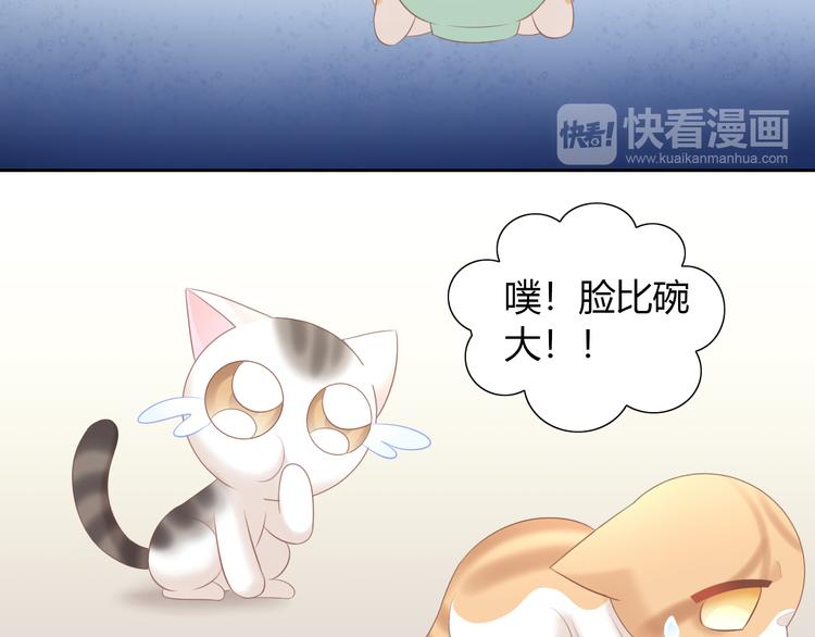 猫爪之下韩漫全集-第86话 友好相处！无删减无遮挡章节图片 