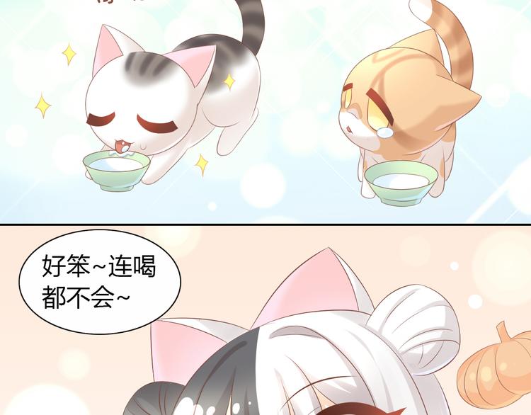 猫爪之下韩漫全集-第86话 友好相处！无删减无遮挡章节图片 