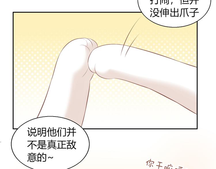 猫爪之下韩漫全集-第86话 友好相处！无删减无遮挡章节图片 