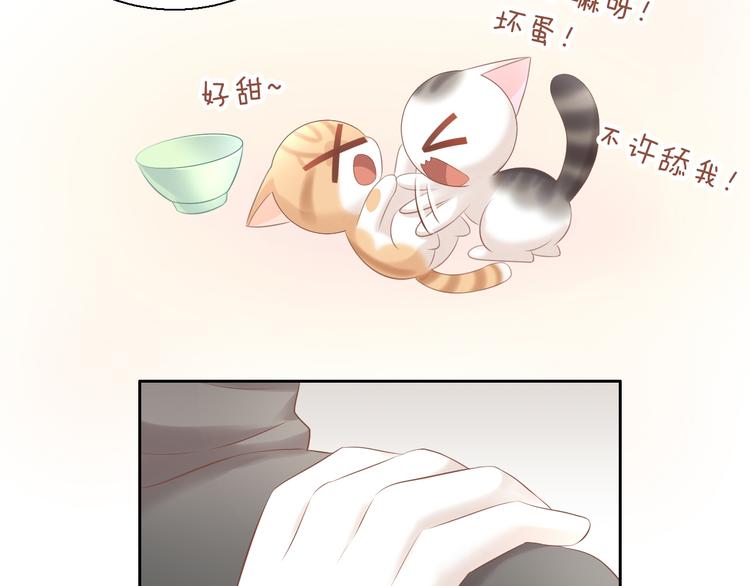 猫爪之下韩漫全集-第86话 友好相处！无删减无遮挡章节图片 