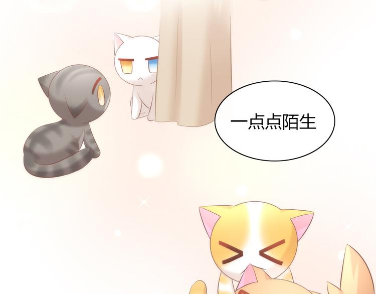 猫爪之下韩漫全集-第86话 友好相处！无删减无遮挡章节图片 