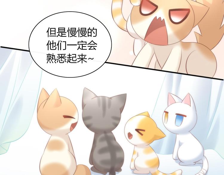 猫爪之下韩漫全集-第86话 友好相处！无删减无遮挡章节图片 