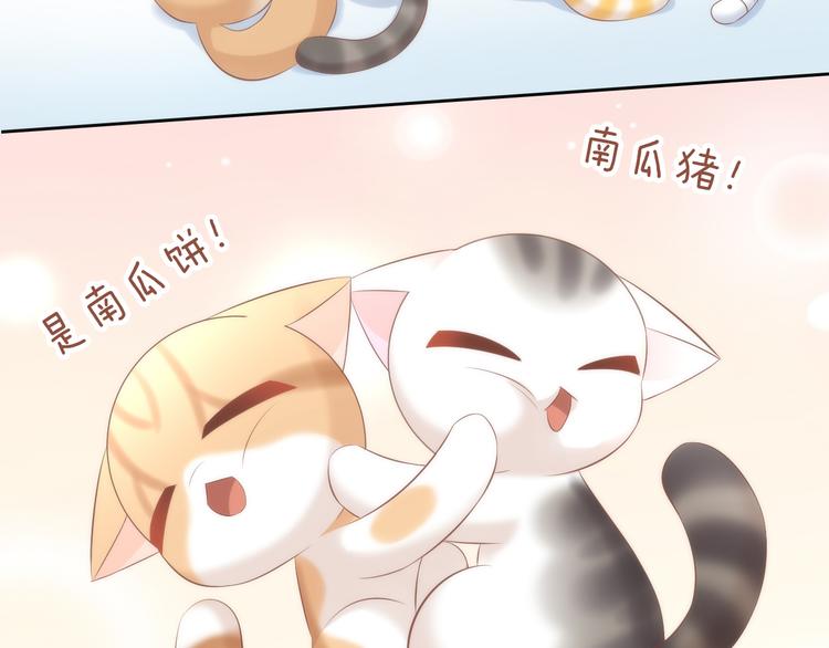 猫爪之下韩漫全集-第86话 友好相处！无删减无遮挡章节图片 