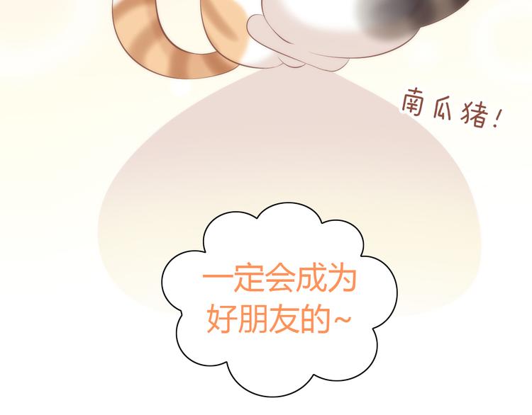 猫爪之下韩漫全集-第86话 友好相处！无删减无遮挡章节图片 