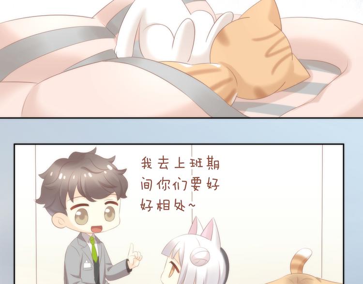 猫爪之下韩漫全集-第87话  你不是王子！无删减无遮挡章节图片 