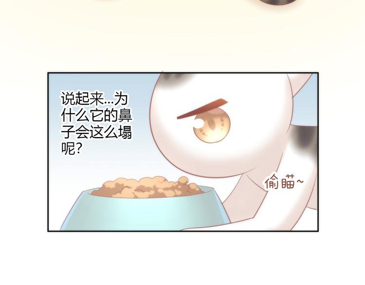 猫爪之下韩漫全集-第87话  你不是王子！无删减无遮挡章节图片 