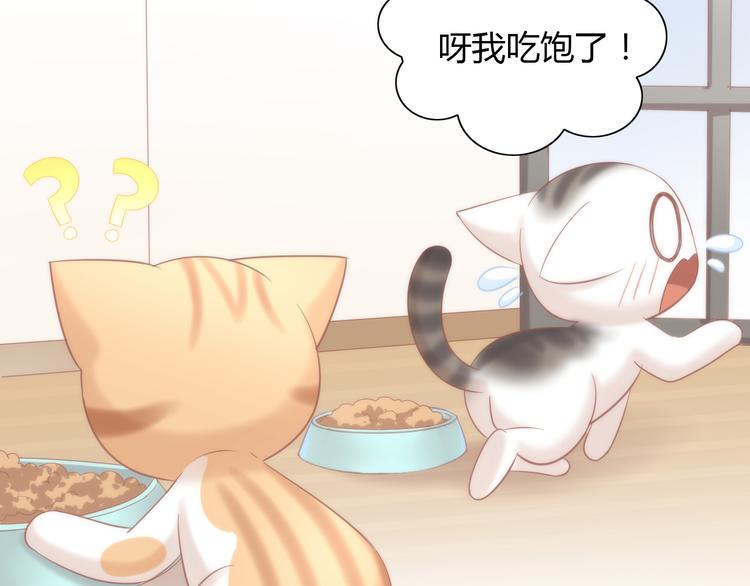猫爪之下韩漫全集-第87话  你不是王子！无删减无遮挡章节图片 