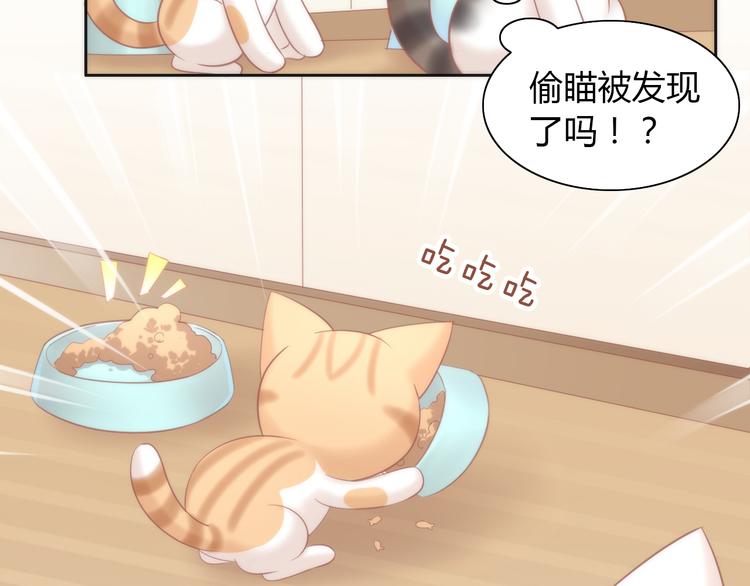 猫爪之下韩漫全集-第87话  你不是王子！无删减无遮挡章节图片 