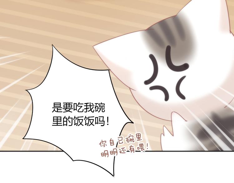 猫爪之下韩漫全集-第87话  你不是王子！无删减无遮挡章节图片 