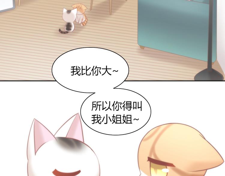 猫爪之下韩漫全集-第87话  你不是王子！无删减无遮挡章节图片 