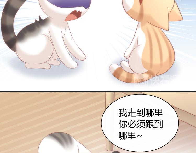 猫爪之下韩漫全集-第87话  你不是王子！无删减无遮挡章节图片 