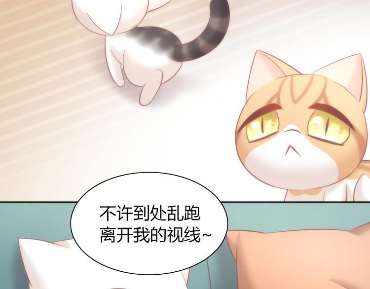 猫爪之下韩漫全集-第87话  你不是王子！无删减无遮挡章节图片 