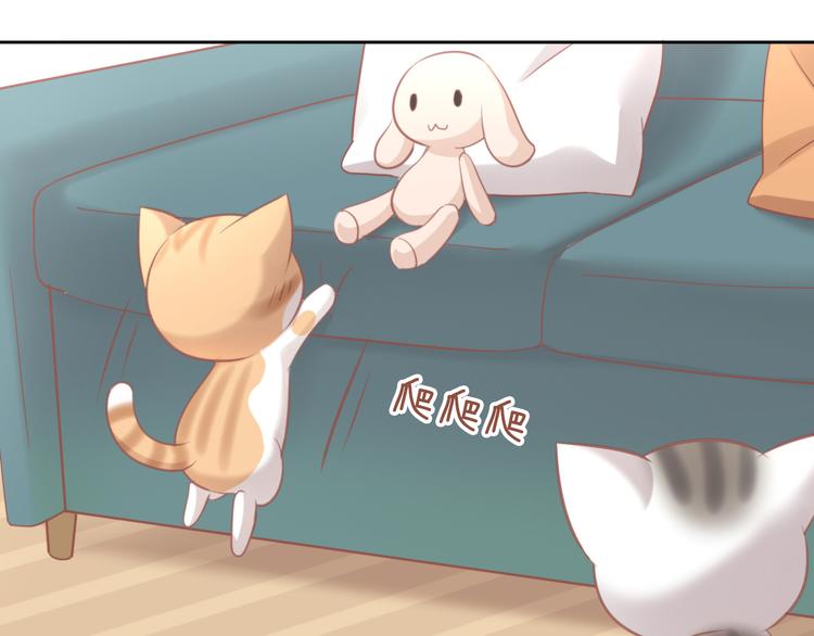 猫爪之下韩漫全集-第87话  你不是王子！无删减无遮挡章节图片 
